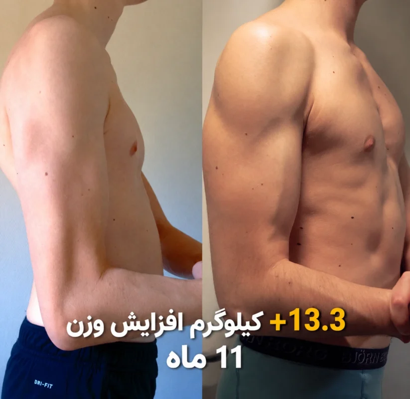 عضله‌سازی خشک؛ چه زمانی پروتئین وی انتخاب بهتری است؟